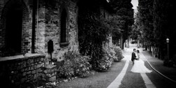 DSC_8359.jpg